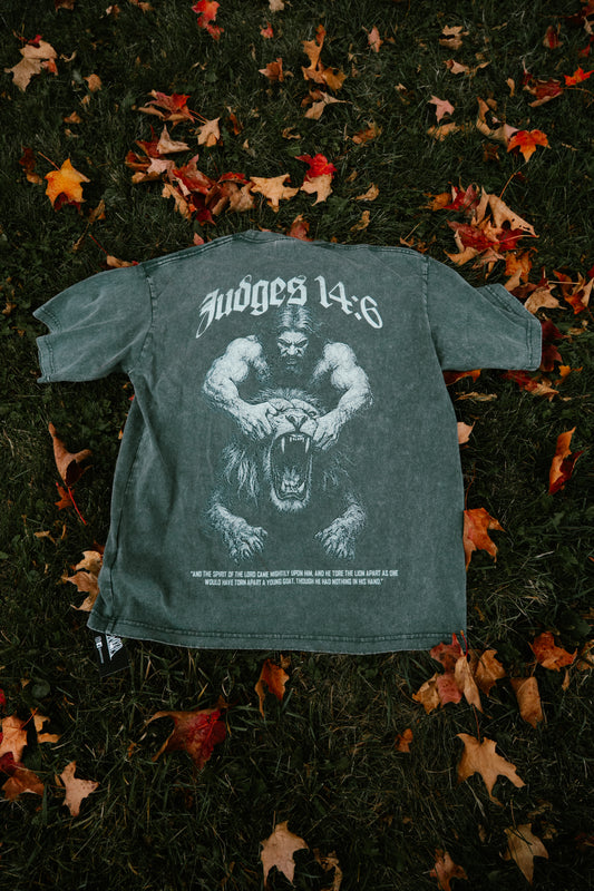 Samson Defeats the Lion